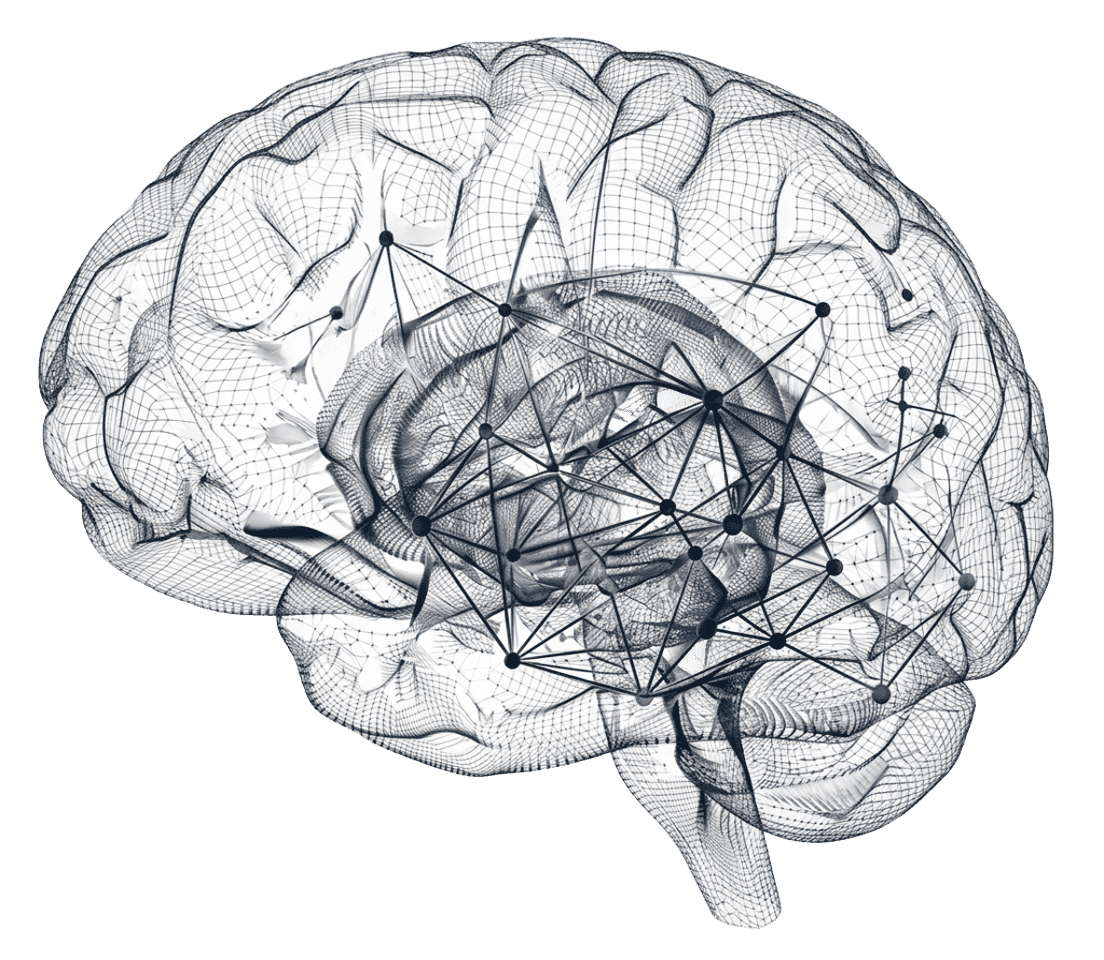 A transparent wireframe illustration of a human brain with a complex neural network, symbolizing digital medicine and precision psychiatry research.